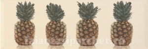 Poza 1 Decor Pineapple Cava 20 X 60