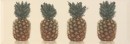 Decor Pineapple Cava 20 X 60